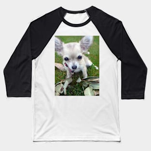 Little White Chihuahua Pup Baseball T-Shirt